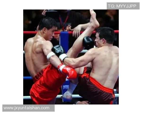 柳海龙与杨晓靖的巅峰对决谁将成为新一代的拳坛霸主 柳海龙与杨晓靖的巅峰对决谁将成为新一代的拳坛霸主